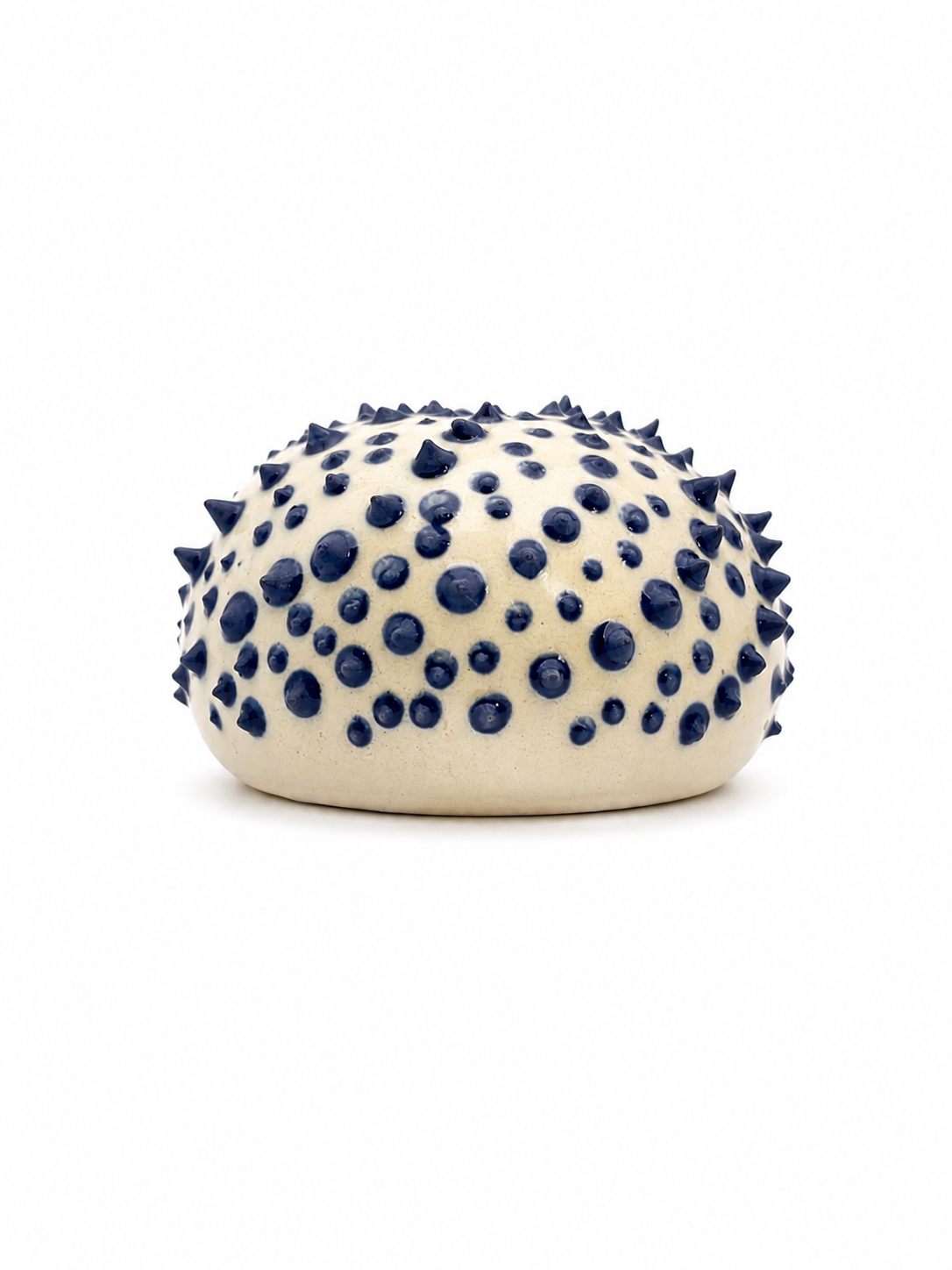 Sea Urchins, Set 5