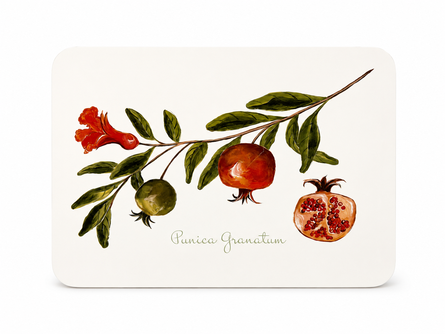 Pomegranate Placemats (set of 4)