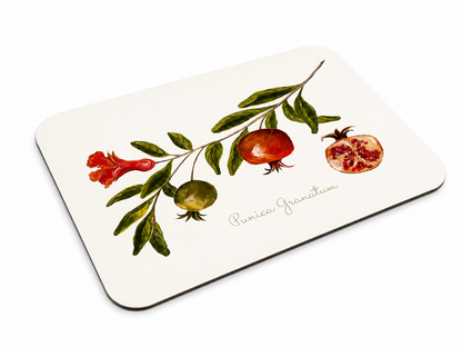Pomegranate Placemats (set of 4)