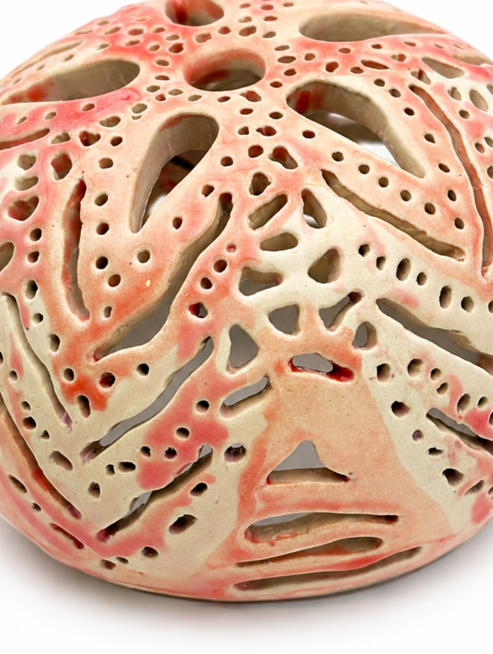 Sea Urchin 3, Medium
