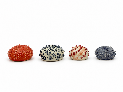 Sea Urchins, Set 1