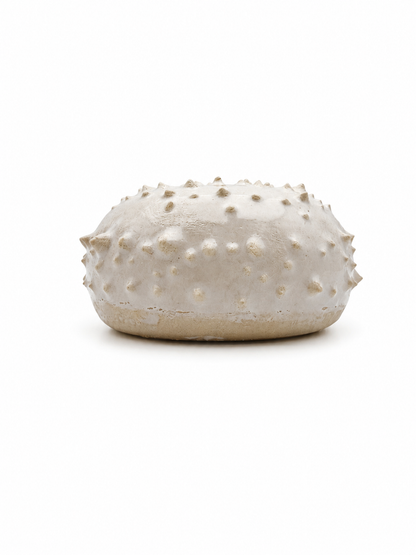 Sea Urchins, Set 2