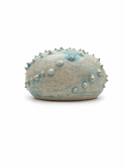 Sea Urchins, Set 2