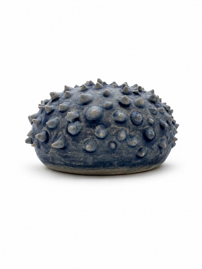 Sea Urchins, Set 1