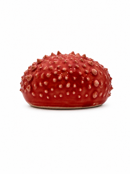 Sea Urchins, Set 1