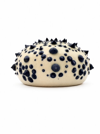 Sea Urchins, Set 1