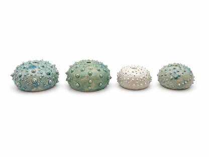 Sea Urchins, Set 2