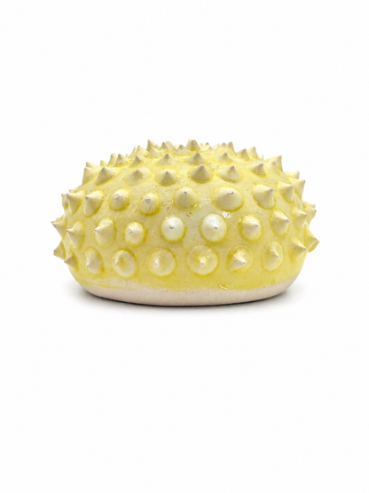 Sea Urchins, Set 3