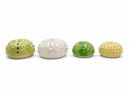 Sea Urchins, Set 3