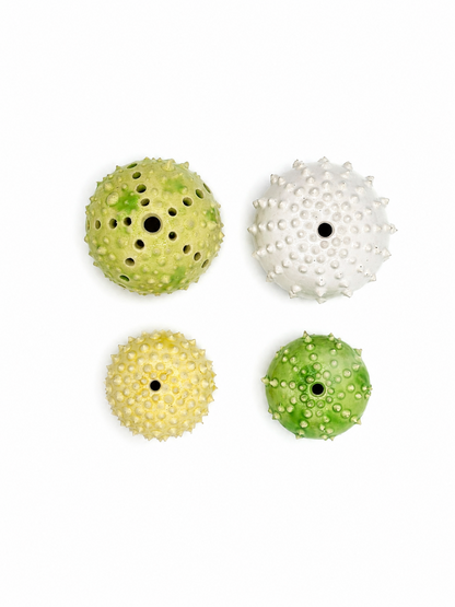 Sea Urchins, Set 3