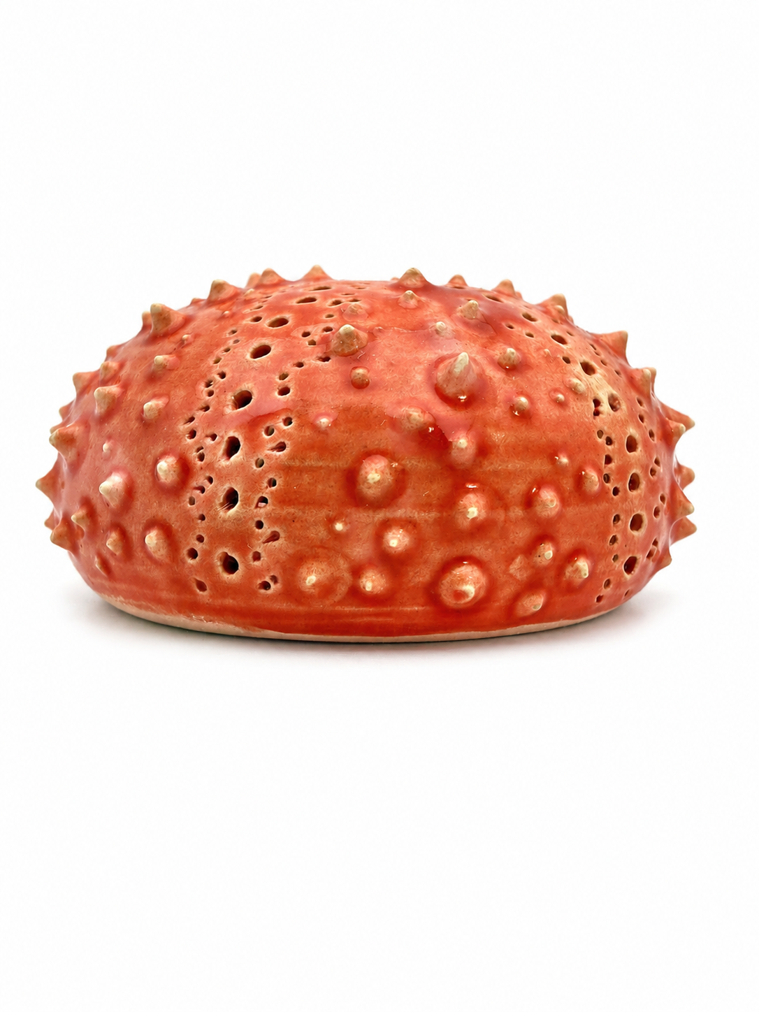 Sea Urchins, Set 4