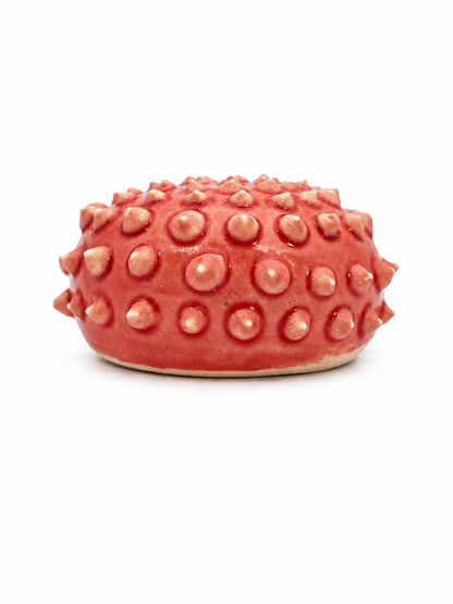 Sea Urchins, Set 4