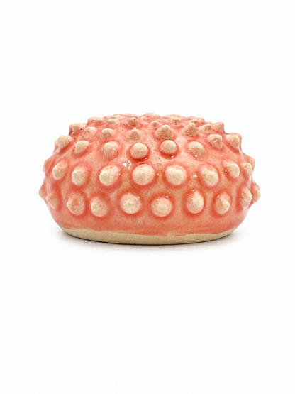 Sea Urchins, Set 4