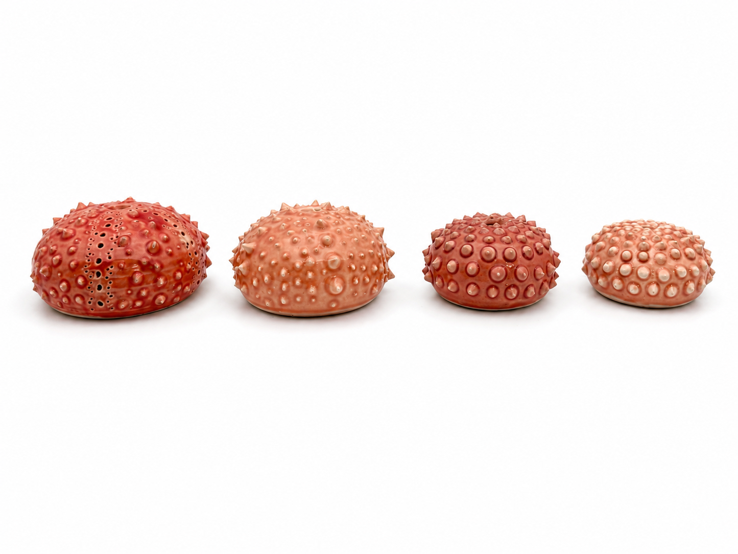 Sea Urchins, Set 4
