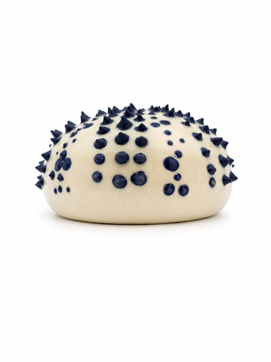Sea Urchins, Set 5