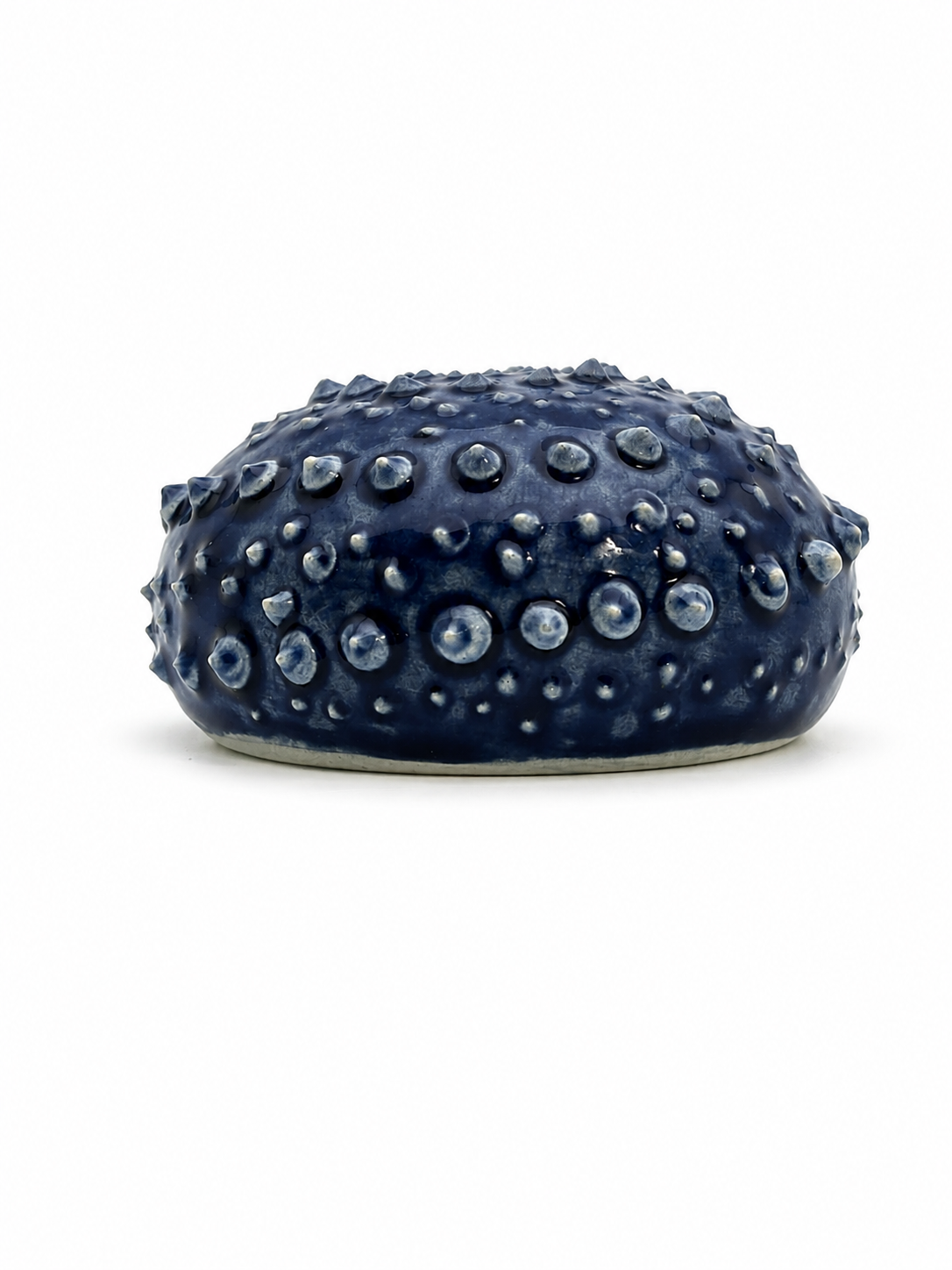 Sea Urchins, Set 5
