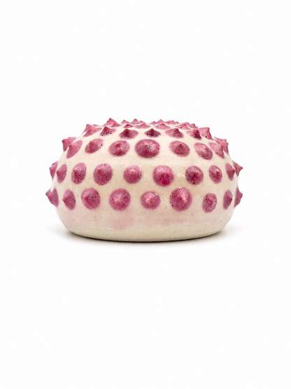 Sea Urchins, Set 5