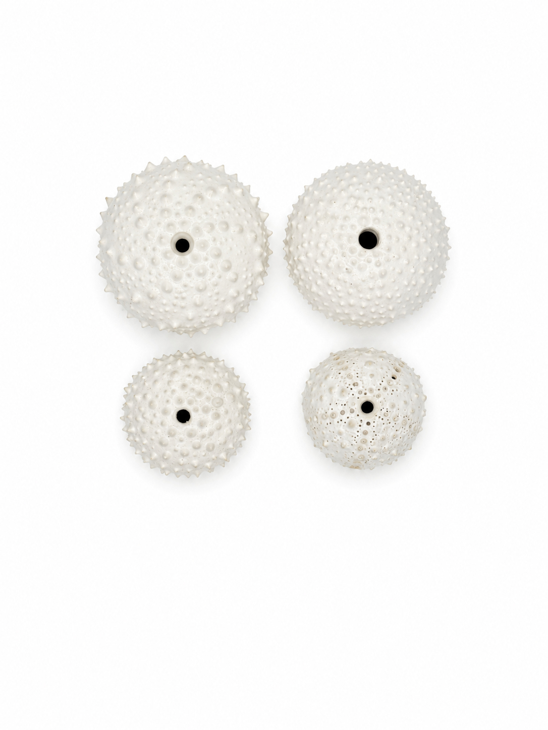 Sea Urchins, Set 6