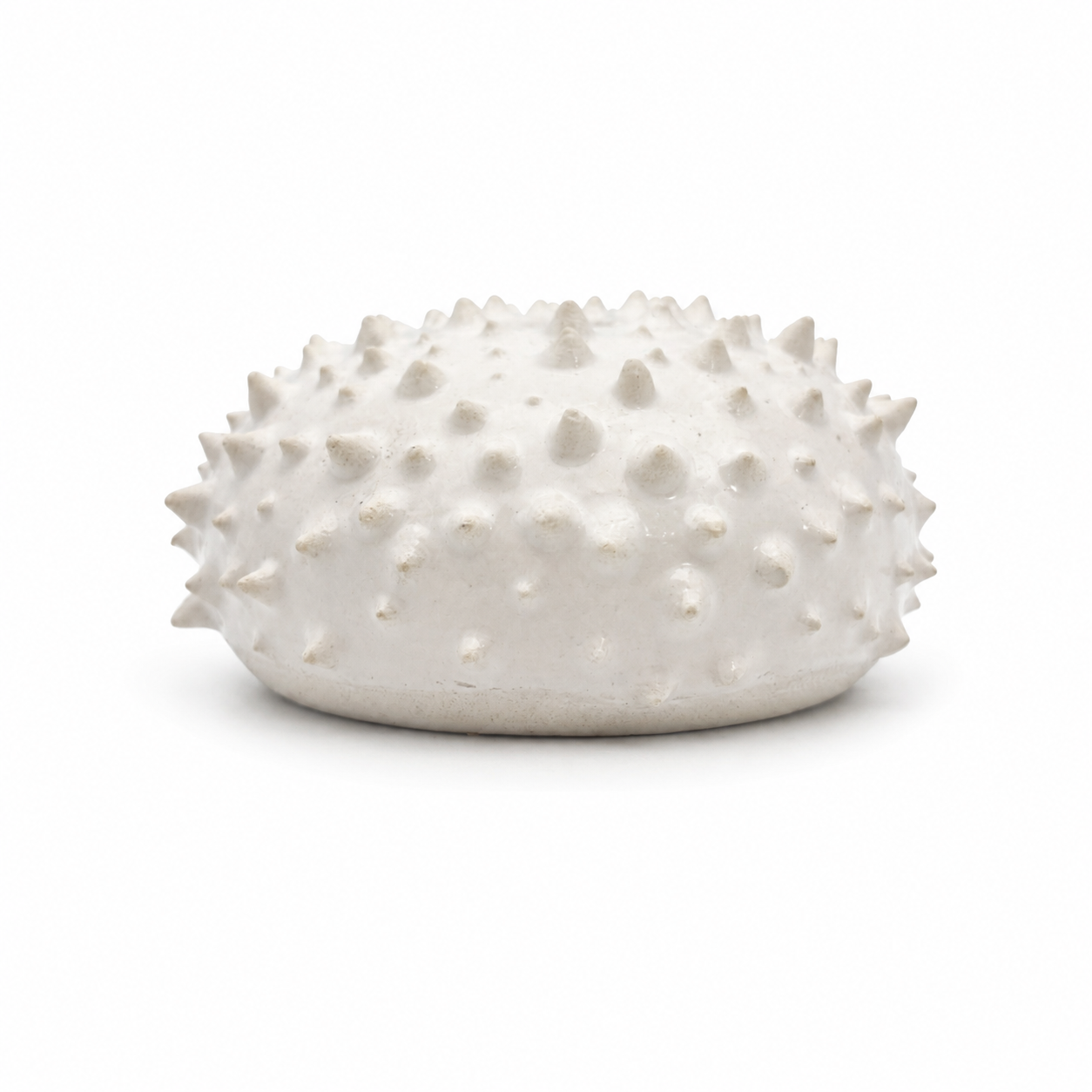 Sea Urchins, Set 6