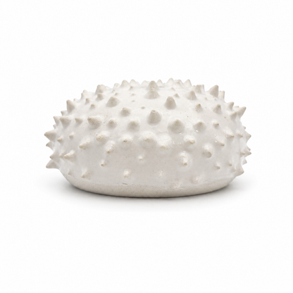 Sea Urchins, Set 6