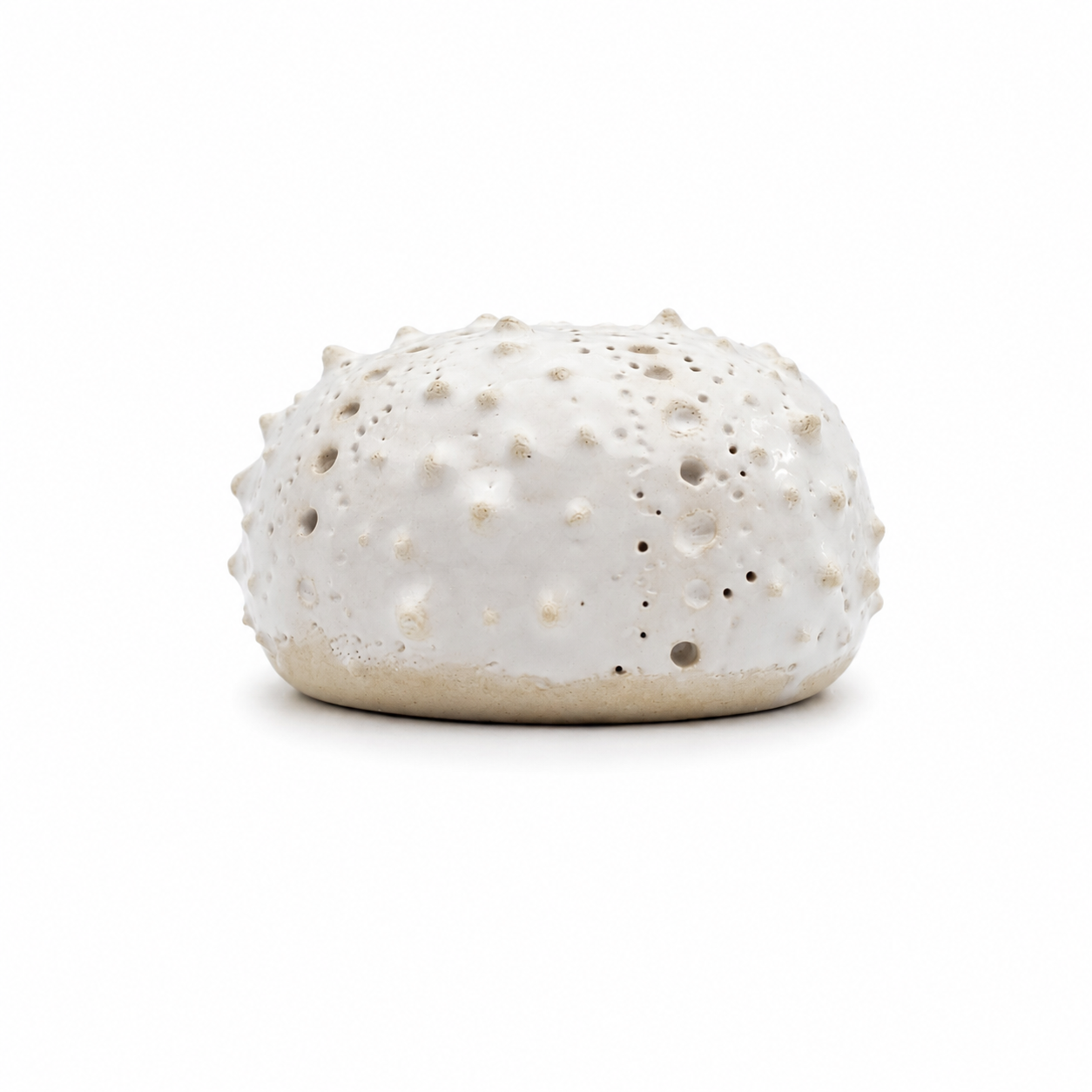 Sea Urchins, Set 6