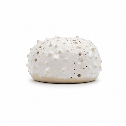 Sea Urchins, Set 6