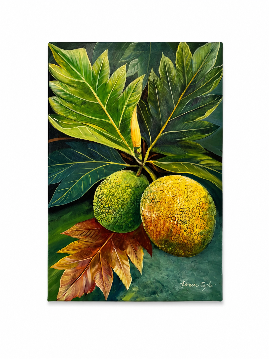 Breadfruit